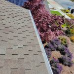 Gutter Leak Repairs Unveiled: Expert Techniques for Homeowners