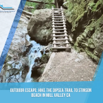 Outdoor Escape: Hike the Dipsea Trail to Stinson Beach in Mill Valley CA