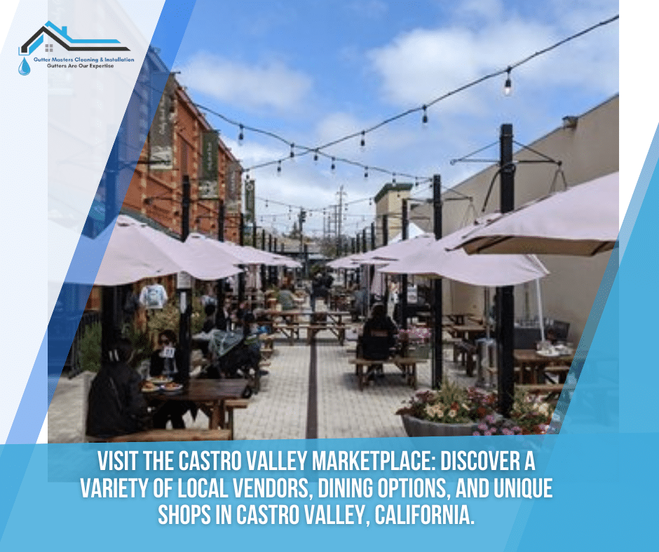 Visit the Castro Valley Marketplace: Discover a Variety of Local ...